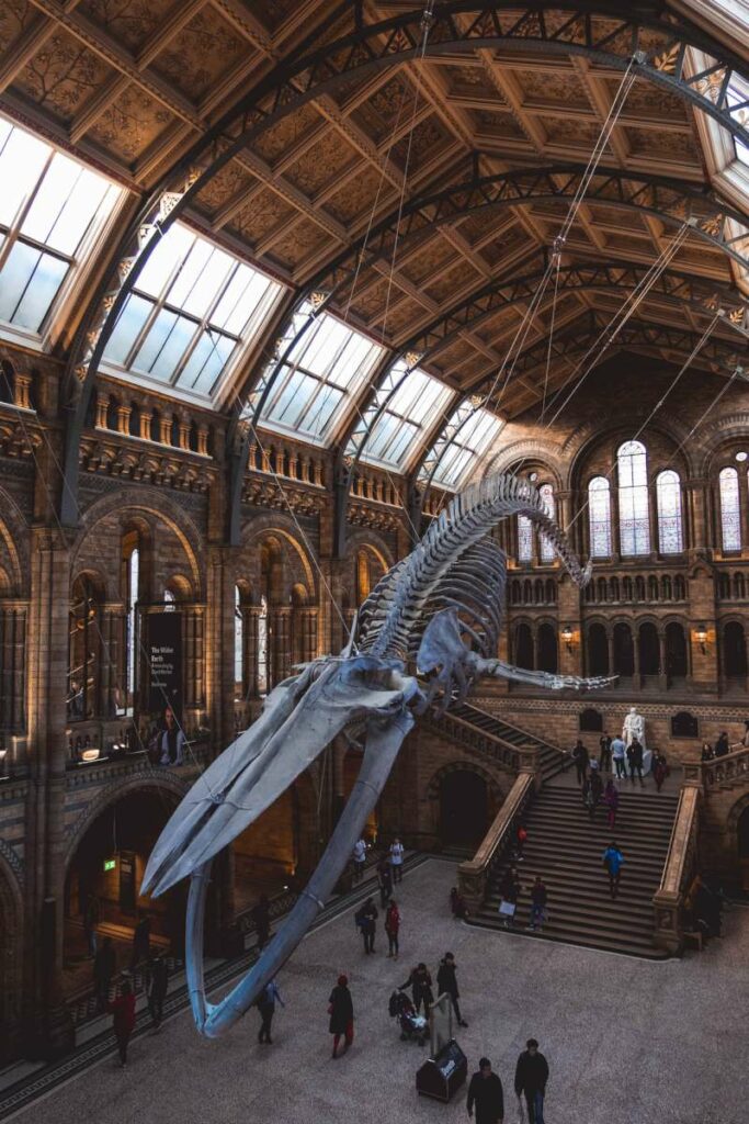 natural-history-museum-london-uk